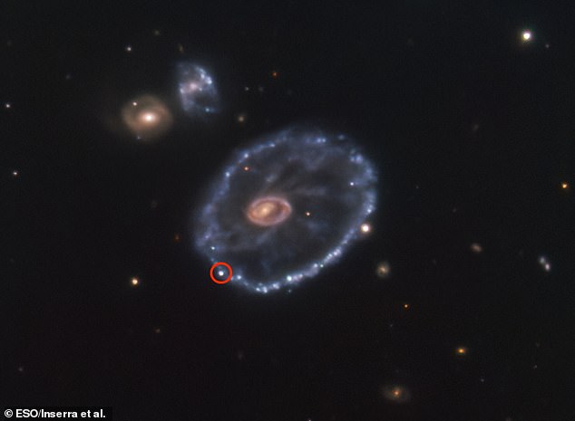 The supernova, called SN2021afdx, occurred in the unusually shaped Cartwheel galaxy, which is located in the constellation Sculptor.