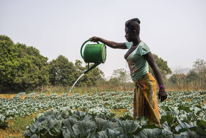 Africa: Women farmers face gender discrimination