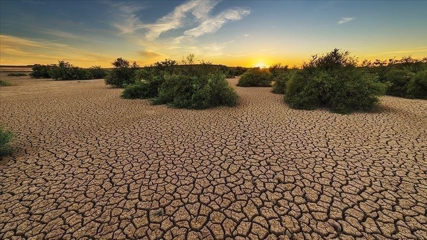 Changement climatique : l’Afrique est « affectée de manière disproportionnée » (BAD)