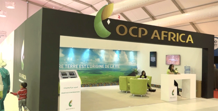 OCP Africa, a vision for Africa