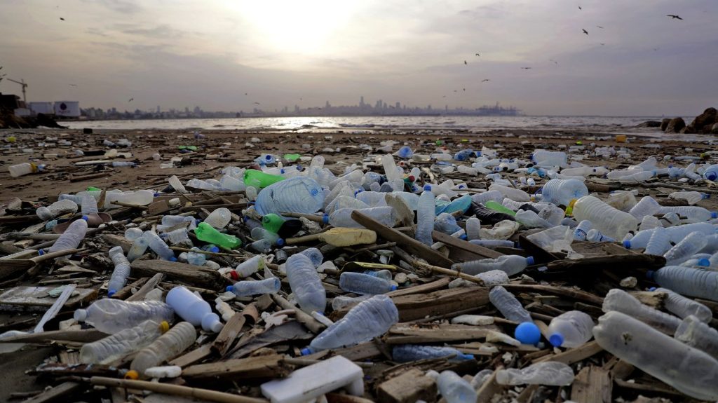 The Organization for Economic Cooperation and Development warns of a sharp increase in the production of plastic and waste