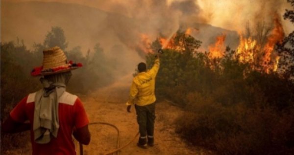 One dead and one injured in a new forest fire, flames destroyed more than 10,500 hectares (video