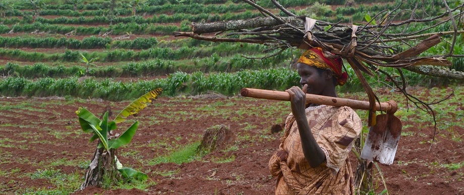 Financial support from Japan for the Burundian agricultural sector