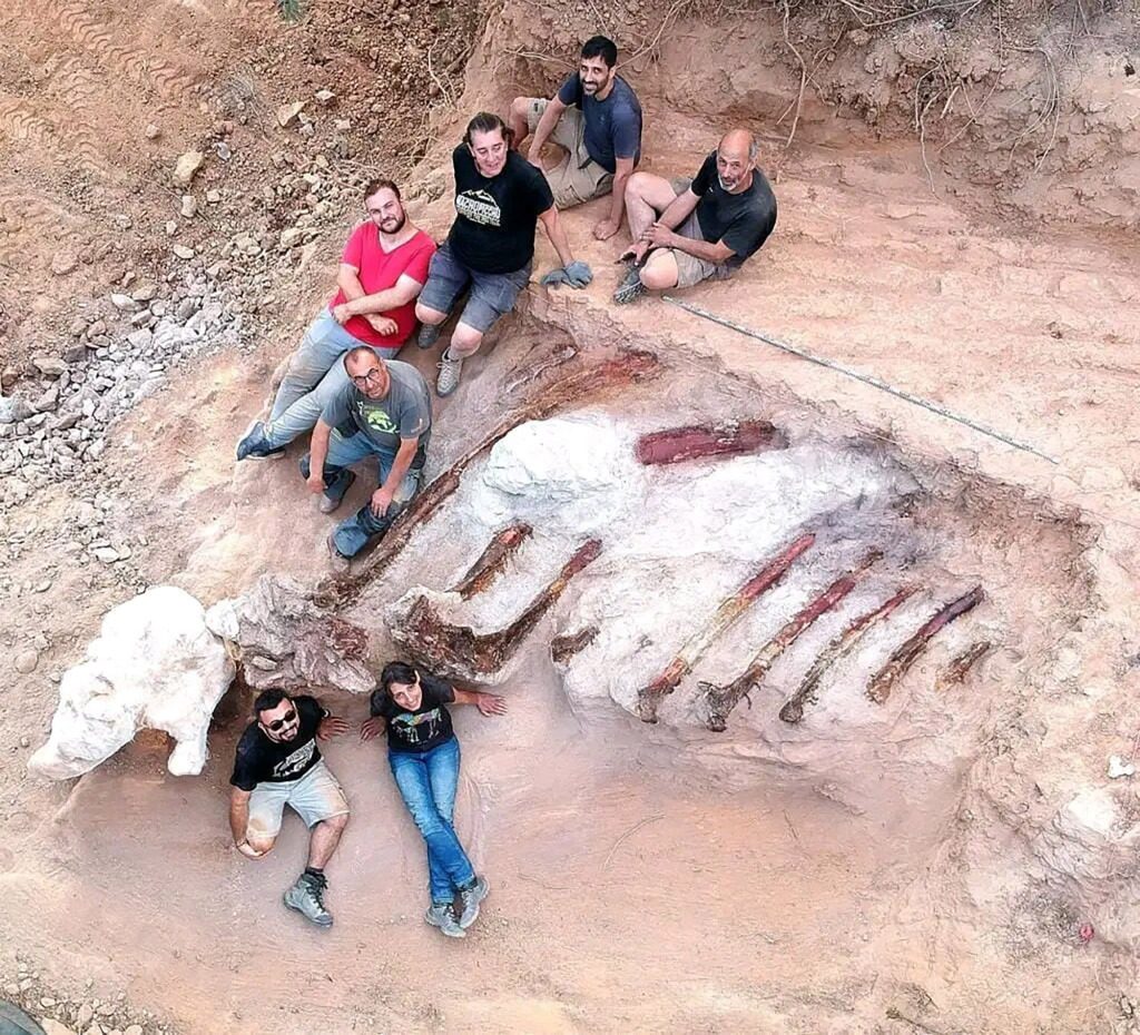 In August, paleontologists collected 10-foot ribs.  